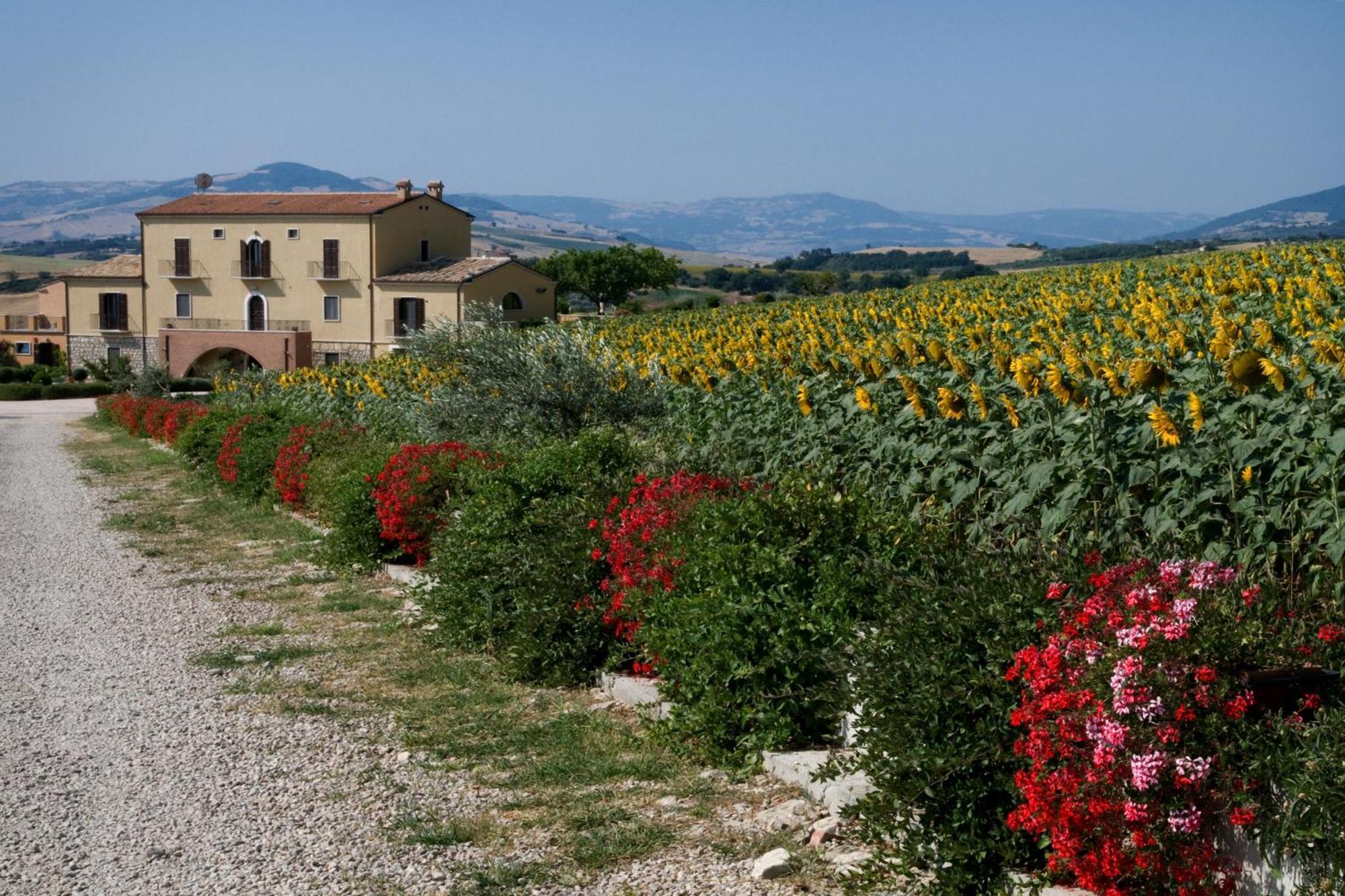 Masseria Grande Montecilfone Exterior foto