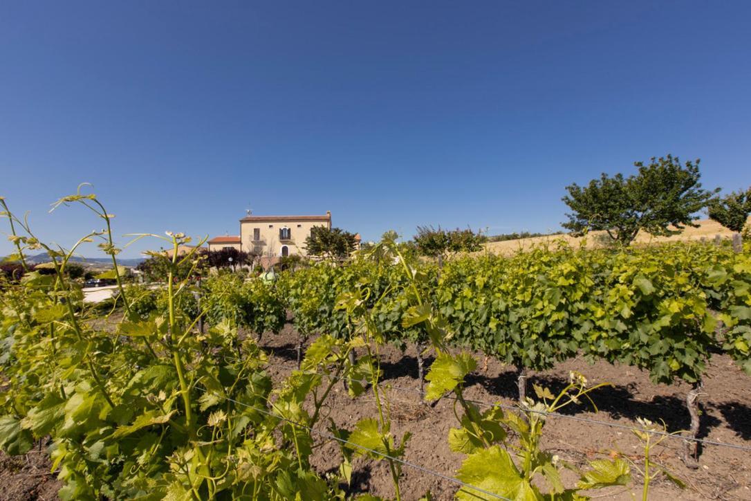 Masseria Grande Montecilfone Exterior foto